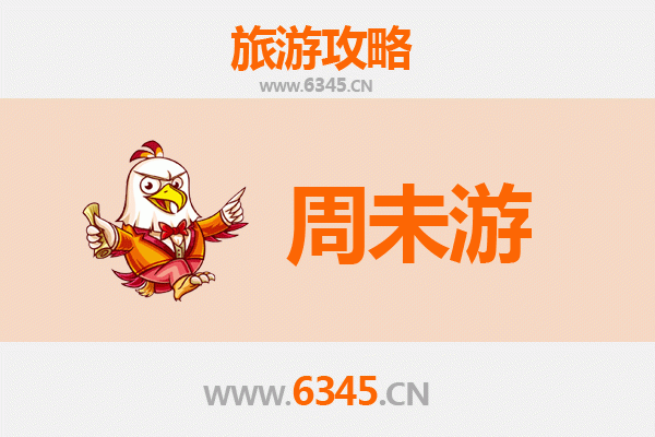 南平政和周未游攻略：探秘千年白茶之乡，邂逅古朴山水人文