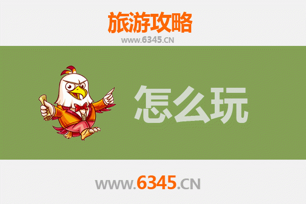 节假日南平政和全攻略：探秘闽北山水，品味千年白茶文化