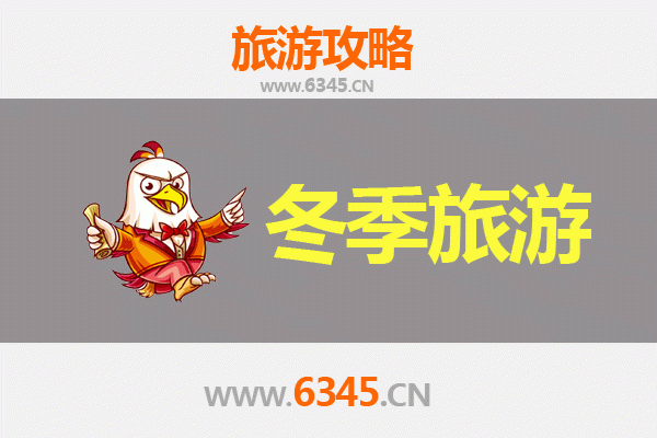 南平政和冬季旅游攻略：探秘闽北冬韵，品味白茶古韵与自然奇观