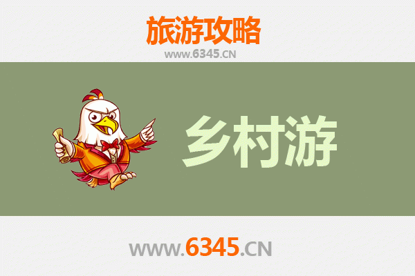 南平政和乡村旅游精品线路推荐：探秘闽北山水，品味白茶古韵
